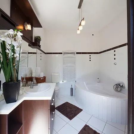 塞西尔别墅 3* 索普隆