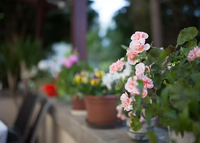 Cecile Гостевой дом