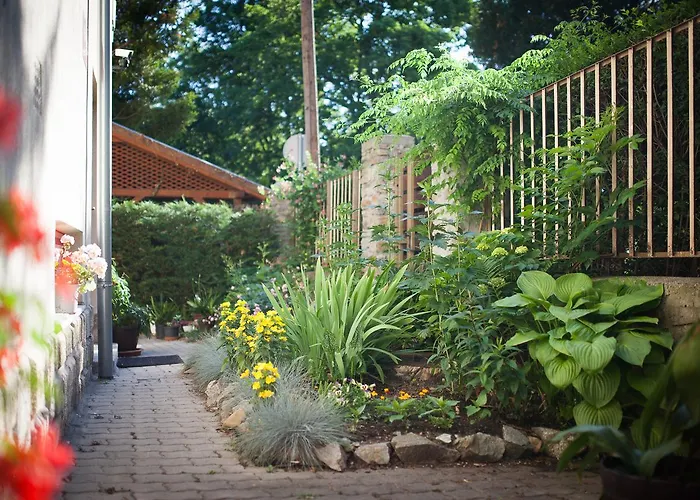 Cecile Гостевой дом 3*